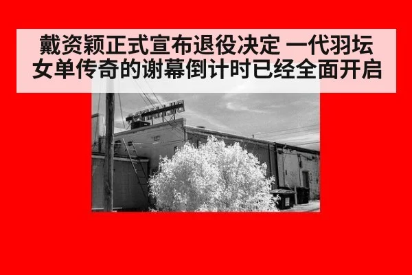 戴资颖正式宣布退役决定 一代羽坛女单传奇的谢幕倒计时已经全面开启